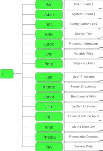 ECSAv10 dumps exhibit