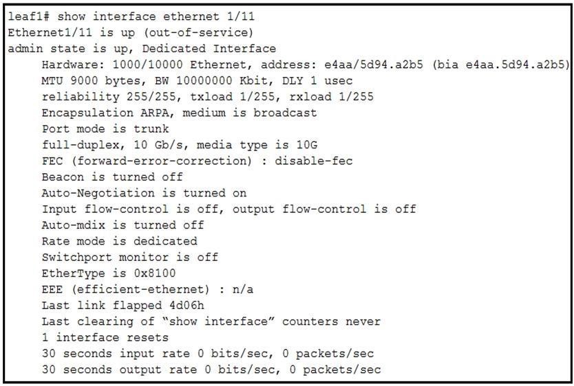 Guide 300-615 Torrent